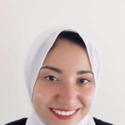 Sarah Mostafa, Senior Program Risk and Project Manager